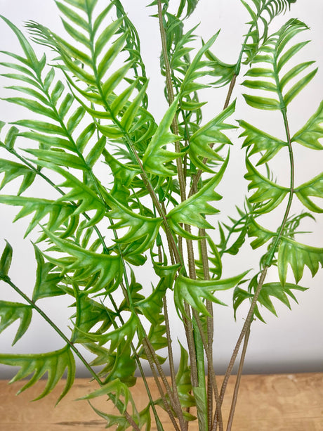 Jumbo Fern Spray