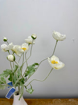 White Poppy Spray