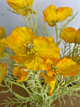Vibrant Yellow Poppy Bush