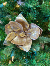Gold Magnolia Spray