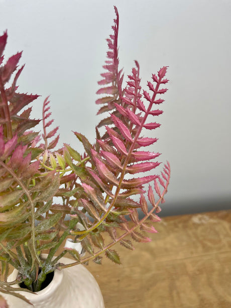 Mauve Fern Bundle