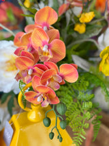 Orange Phalaenopsis Orchid Spray