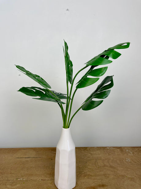 Monstera Leaf  Bush