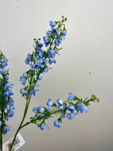 Blue Baby Blossom Spray