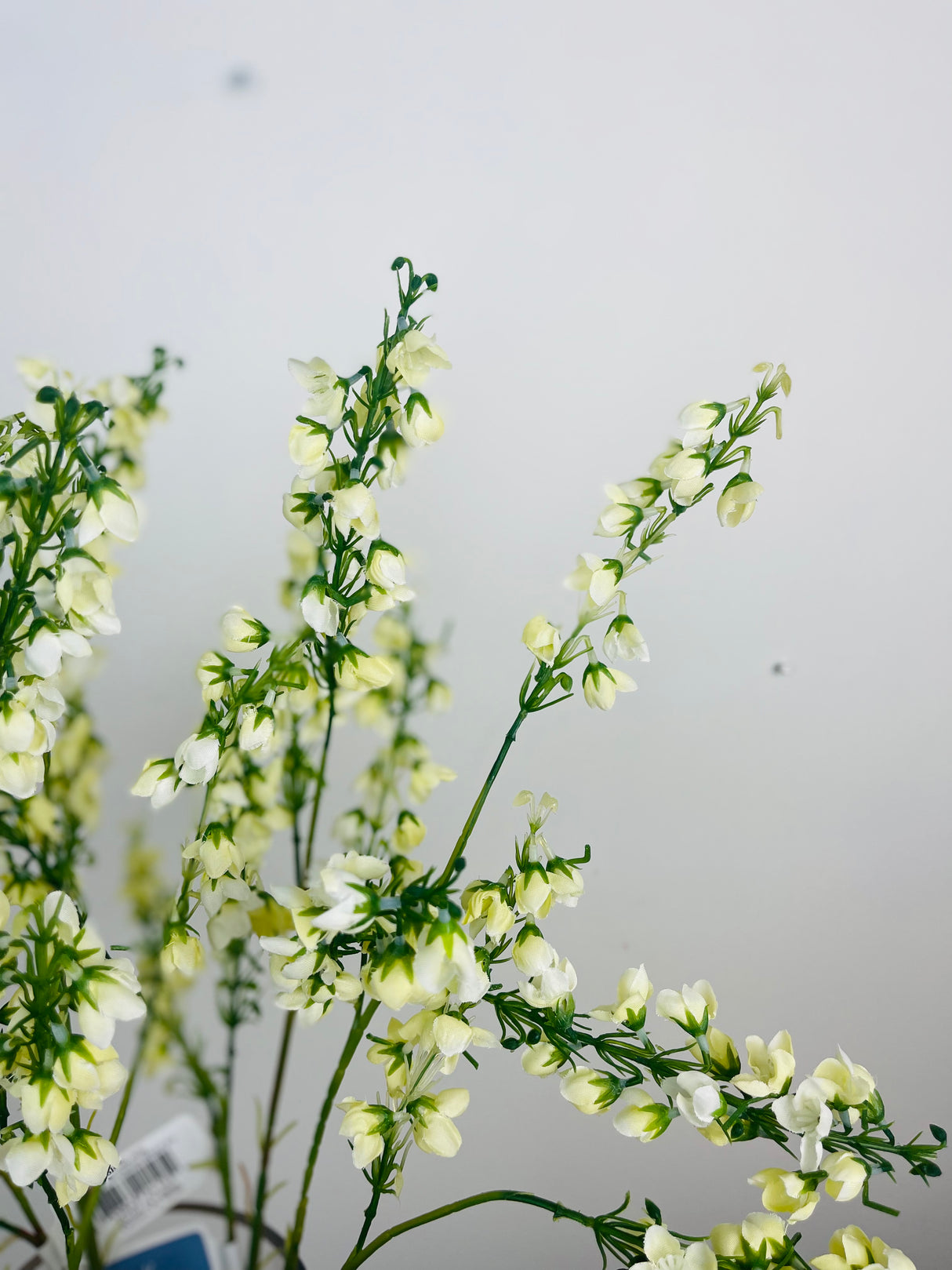 White Baby Blossom Spray