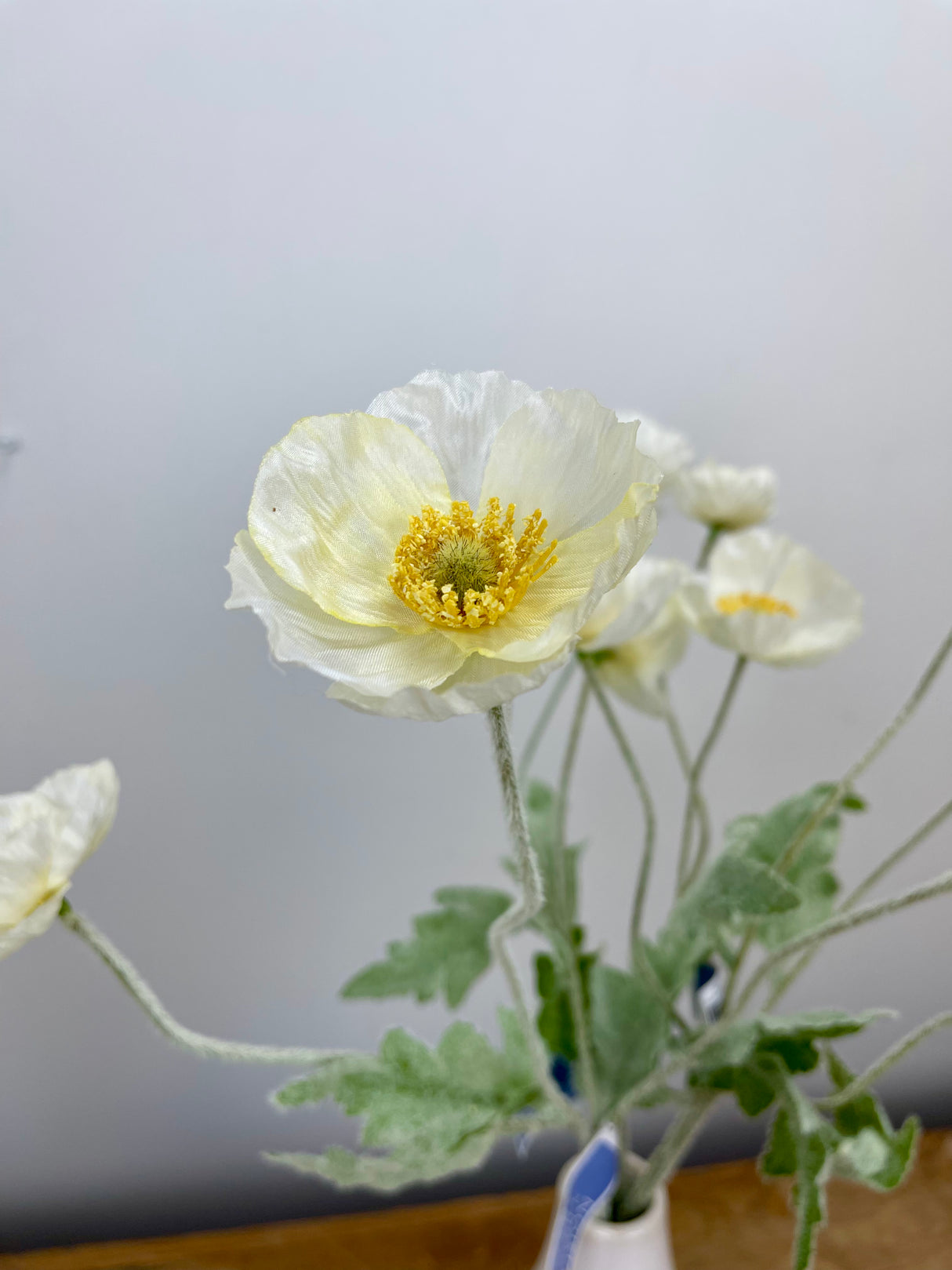 White Poppy Spray