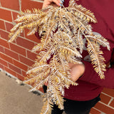 Gold Metallic Balsam Spray