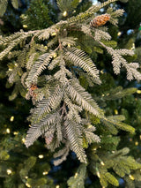 Frosted Hemlock Pine Spray W/Cones