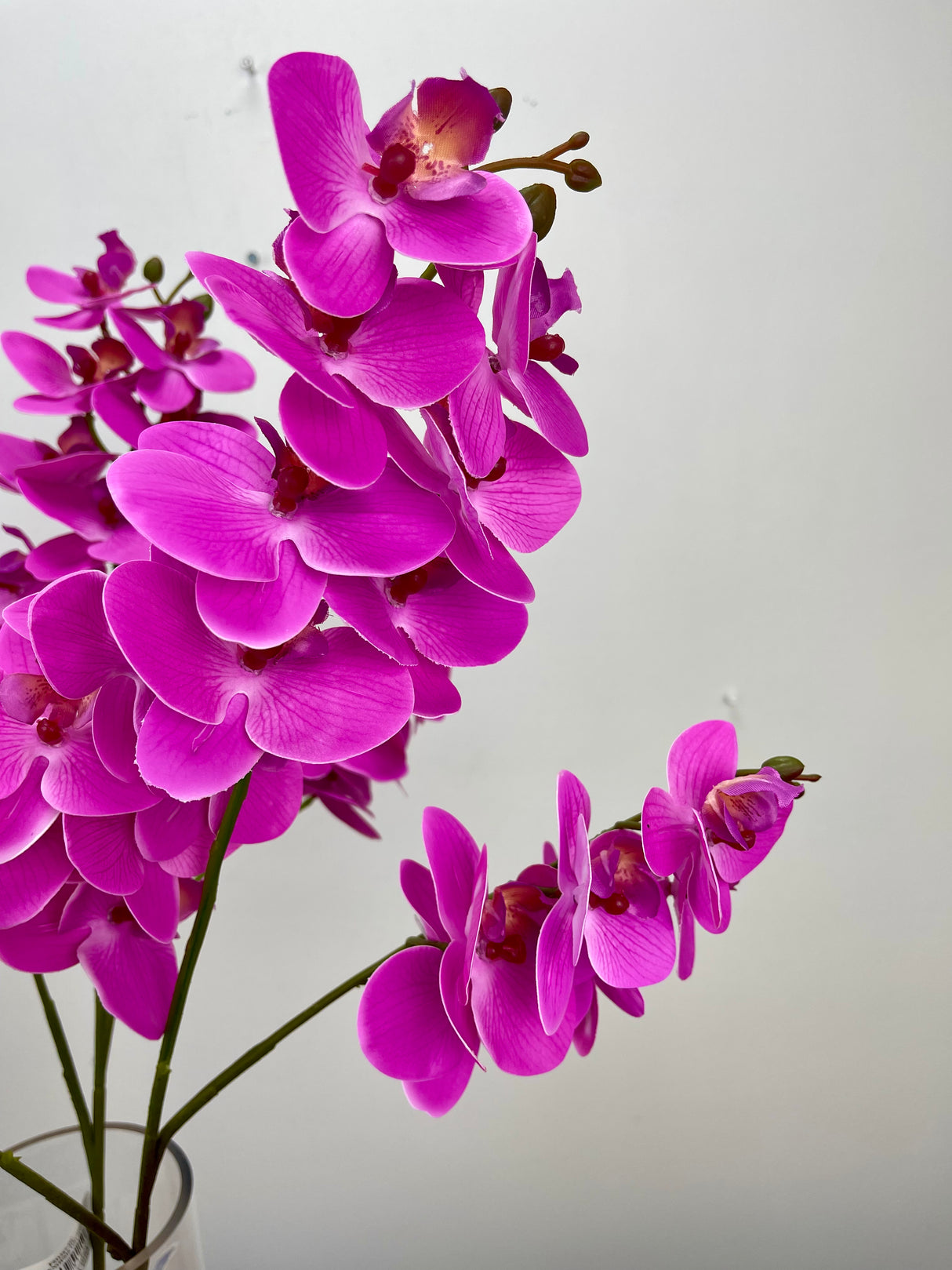 Classic Pink Orchid Spray