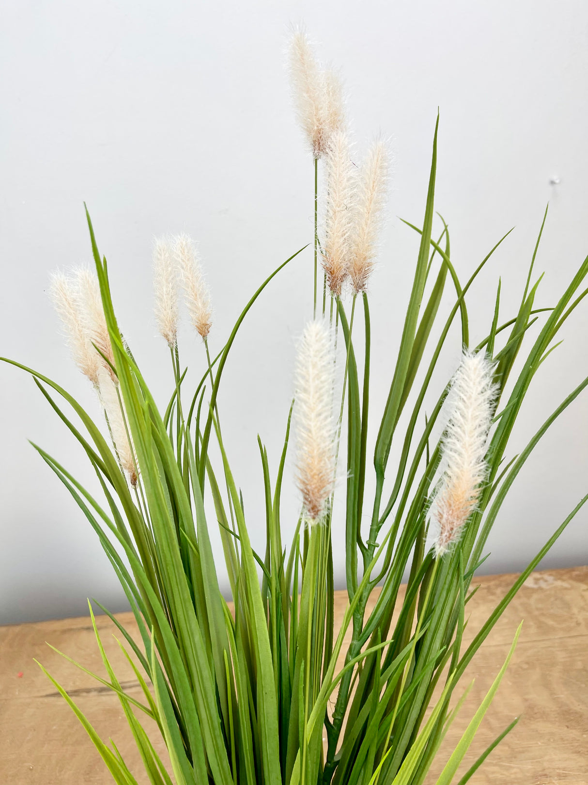 Cattail Grass Bush