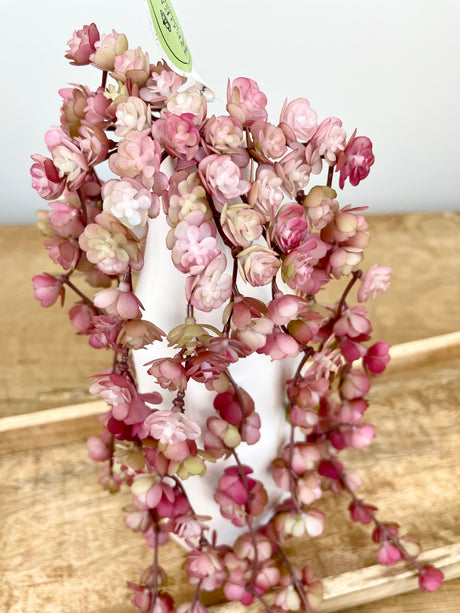 Pink Real Touch Fountain Succulent Vine