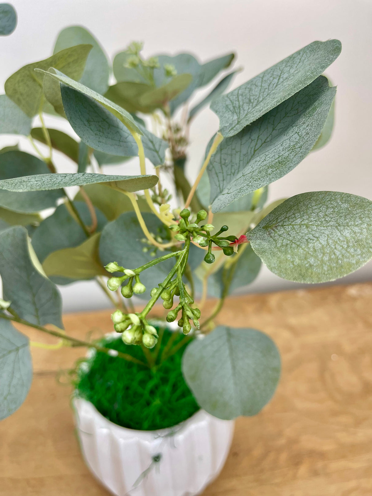Green & Gray Eucalyptus Bush