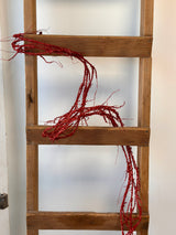 6' Red Glisten Twig Garland