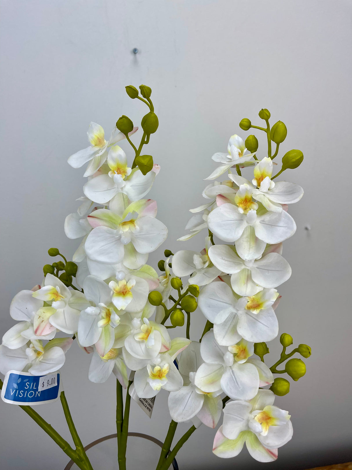 Mini Orchid Spray