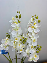 Mini Orchid Spray