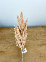 Blush Pampas Grass Spray