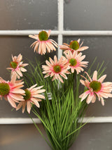 Pink Black-Eyed Susan Bush