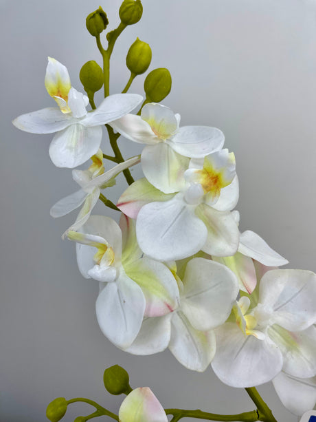 Mini Orchid Spray