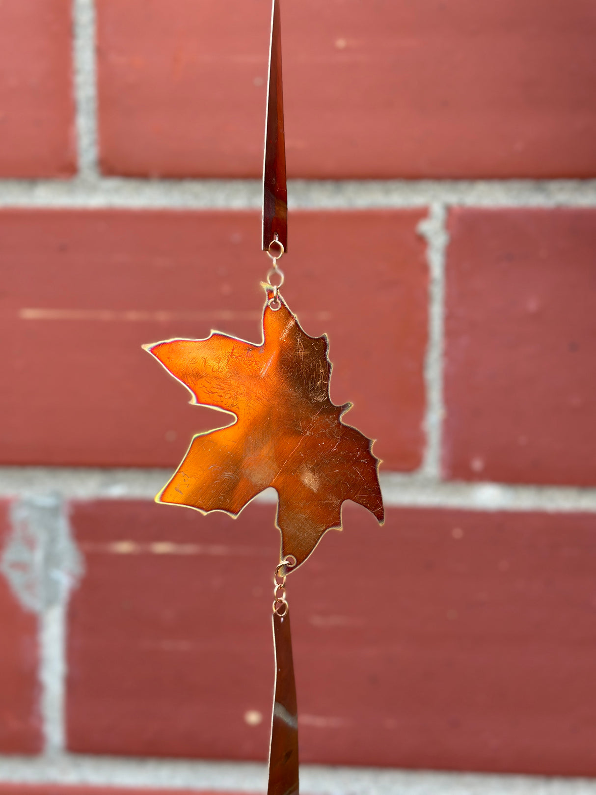 Short Leaf Copper Chain