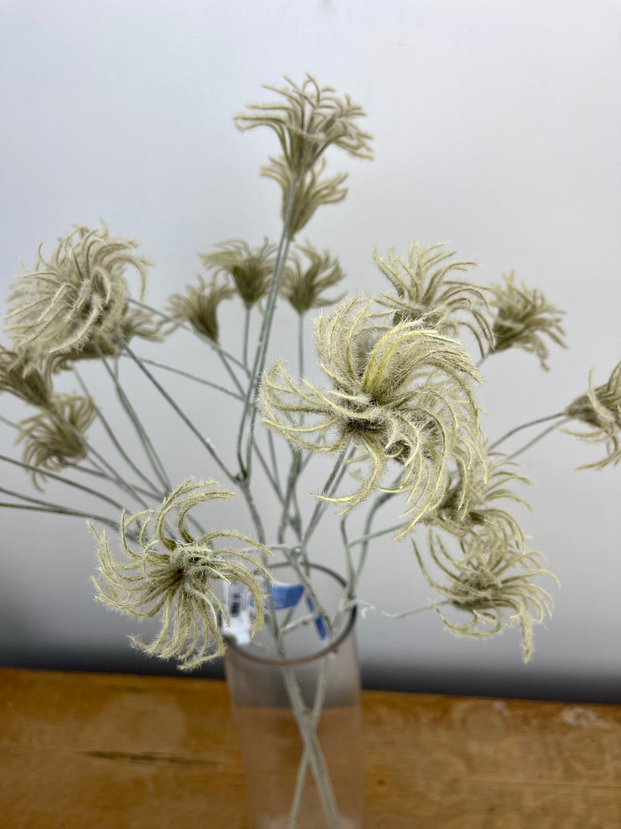 Clematis Bud Spray
