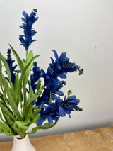 Blue Budding Firecracker Salvia Bush