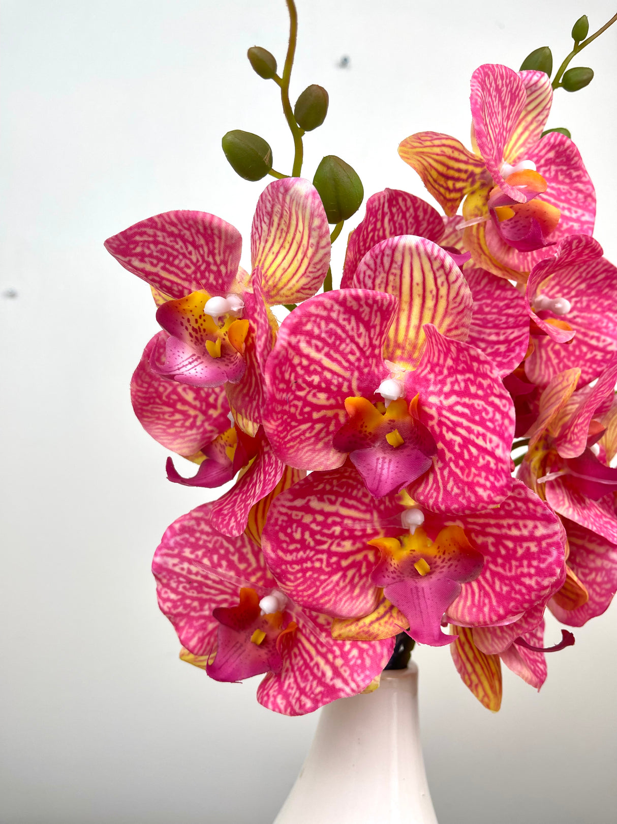 Coral Orchid Spray