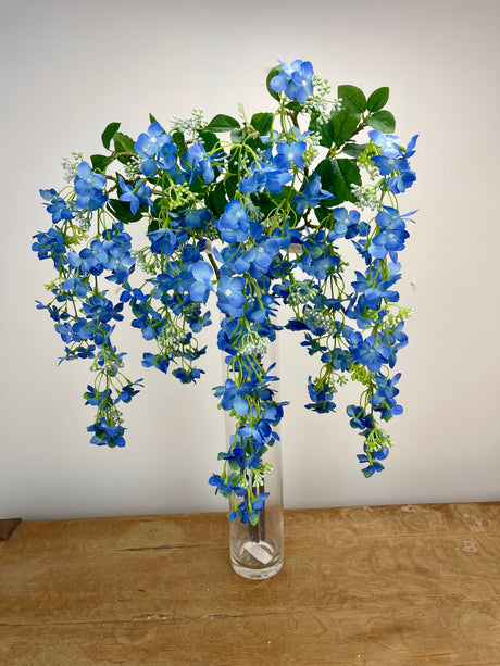 Blue Hanging Hydrangea