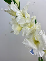 White Gladiolus Spray