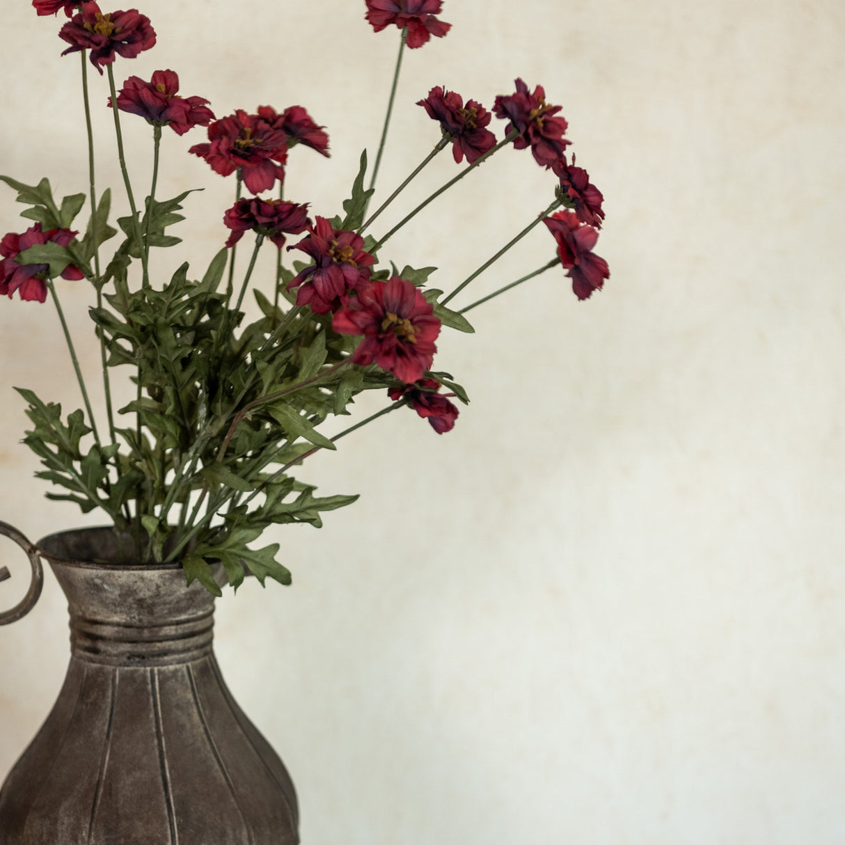 Burgundy Coreopsis Spray