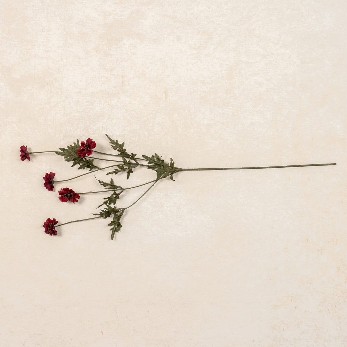 Burgundy Coreopsis Spray