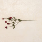 Burgundy Coreopsis Spray