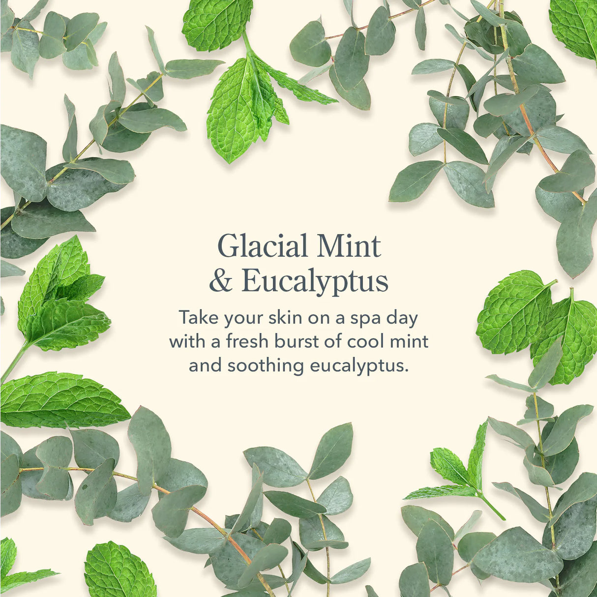 Glacial Mint & Eucalyptus Trio Gift Set