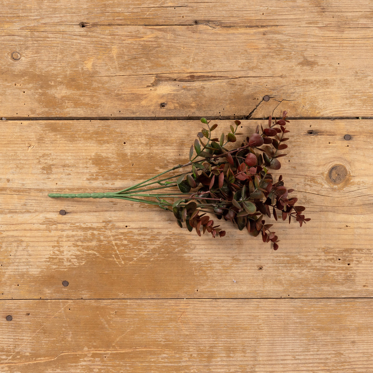 Maroon Eucalyptus Leaf Spray