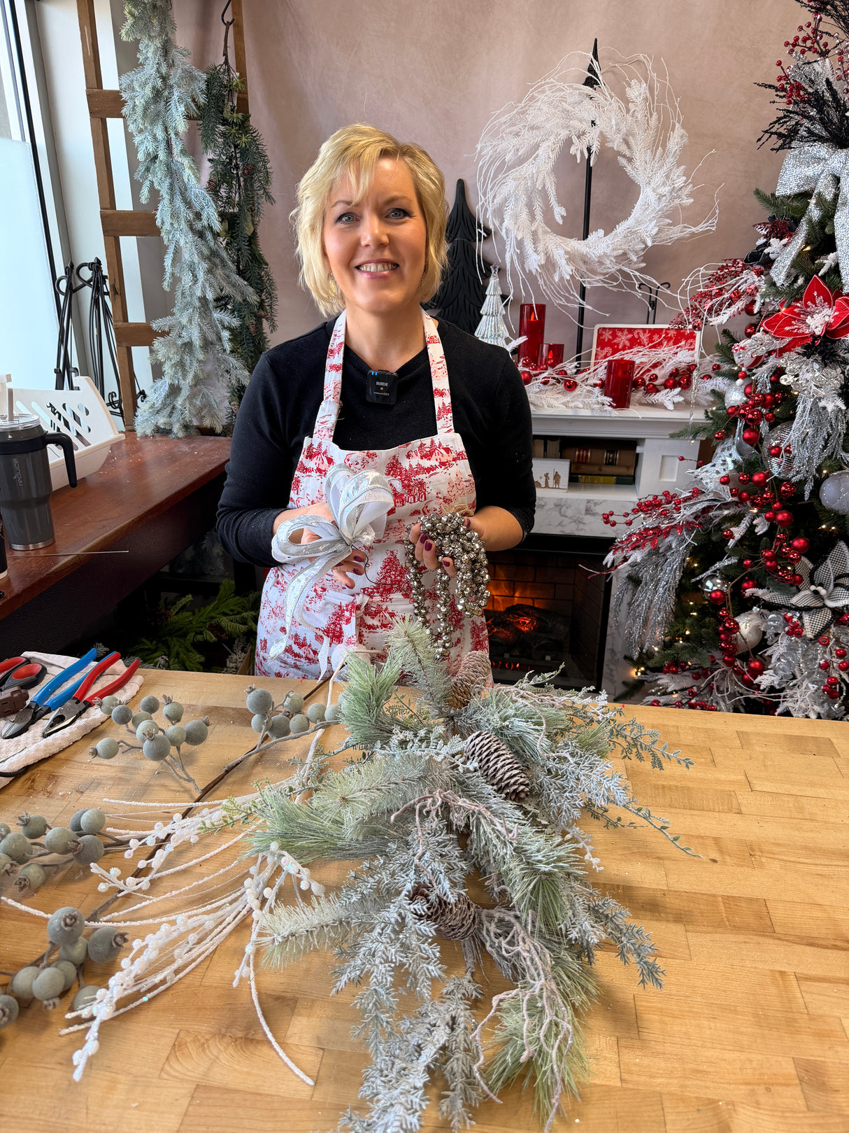 Jingle All The Way Swag Kit