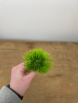 Real Touch Moss Grass Pick