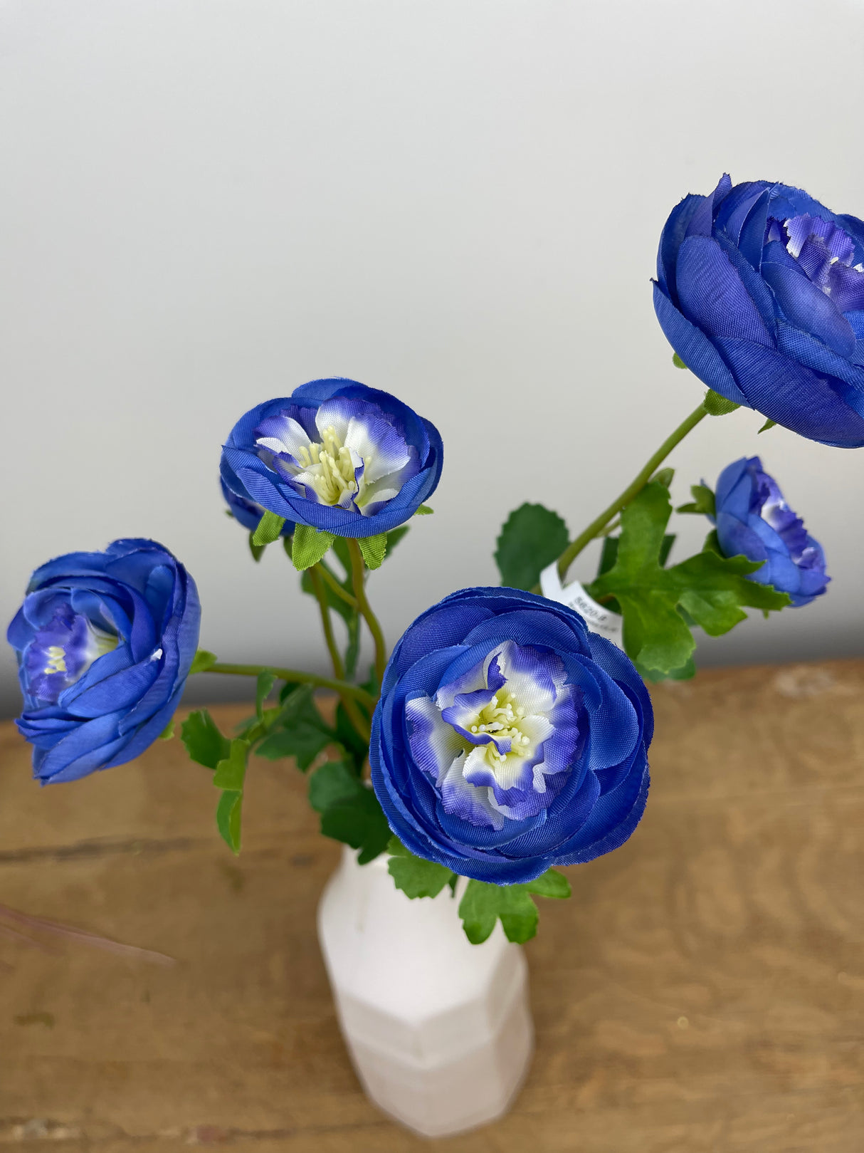 Blue Ranunculus