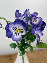 Purple Pansy Spray