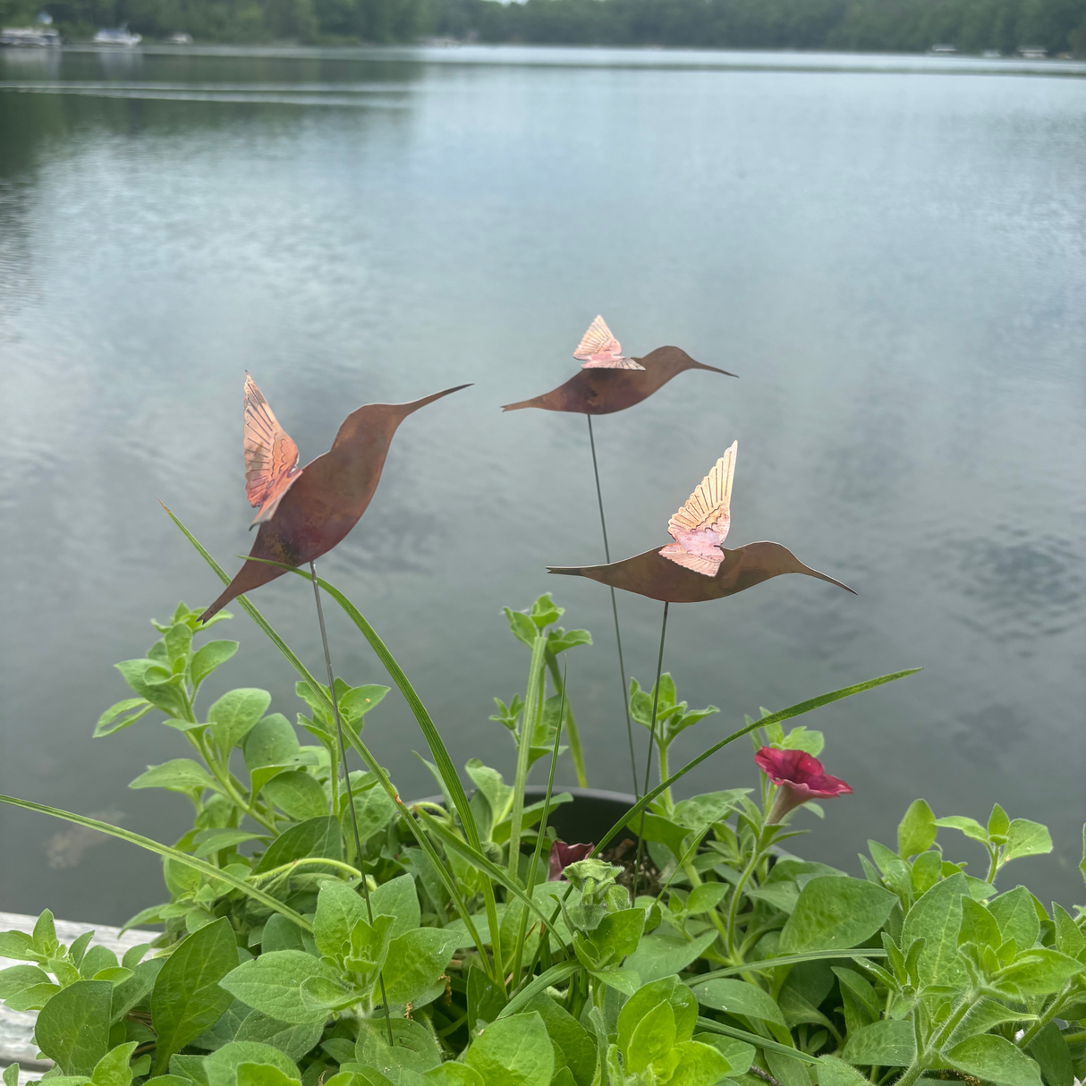 Natural Copper Hummingbird