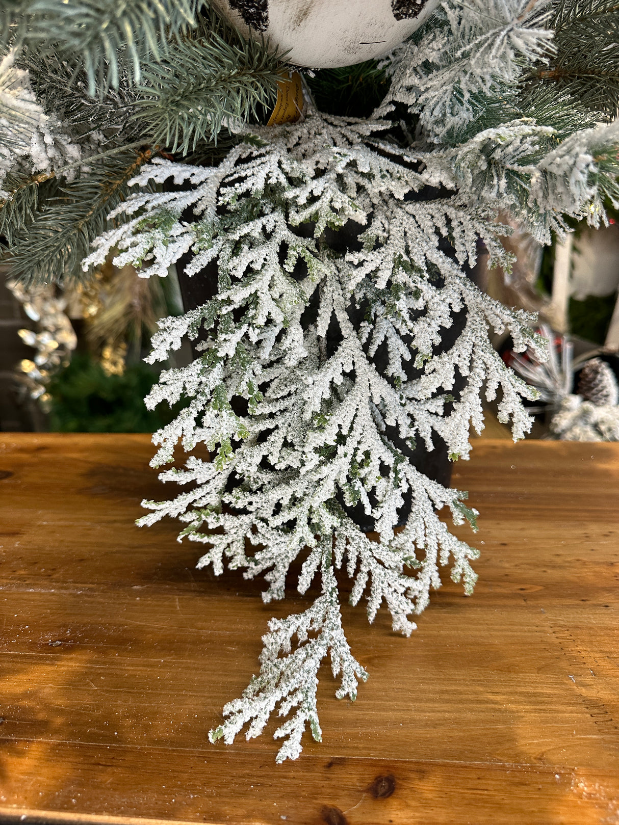 Snow Flat Cedar Spray