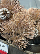 Brown Bottlebrush Pine Spray W/Cones