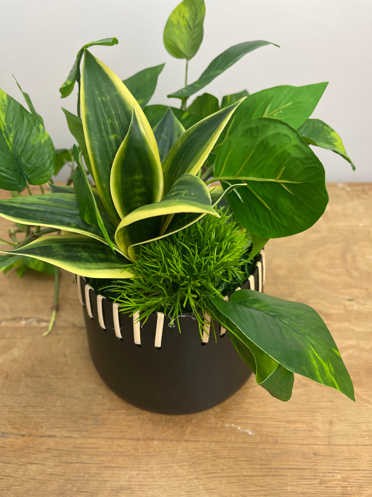 16" Paradise Pothos Centerpiece