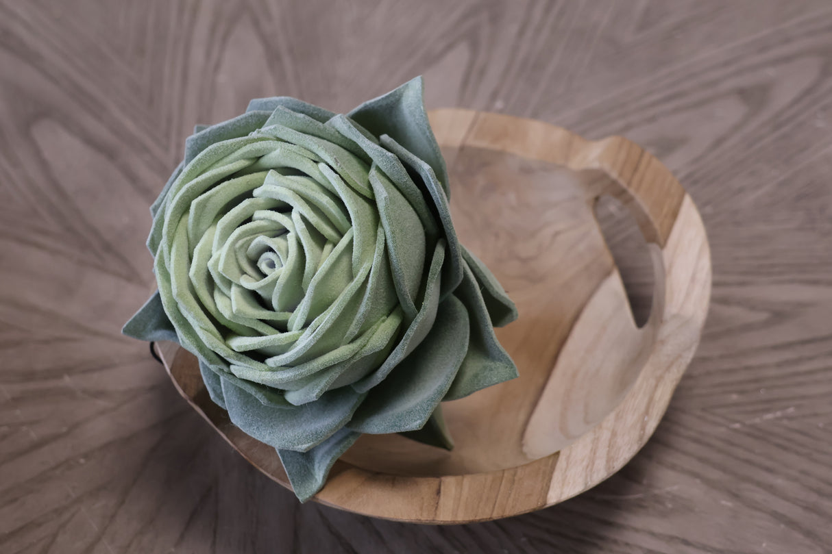 Dusty Rose Echeveria Pick