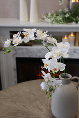 White Phalaenopsis Orchid Spray