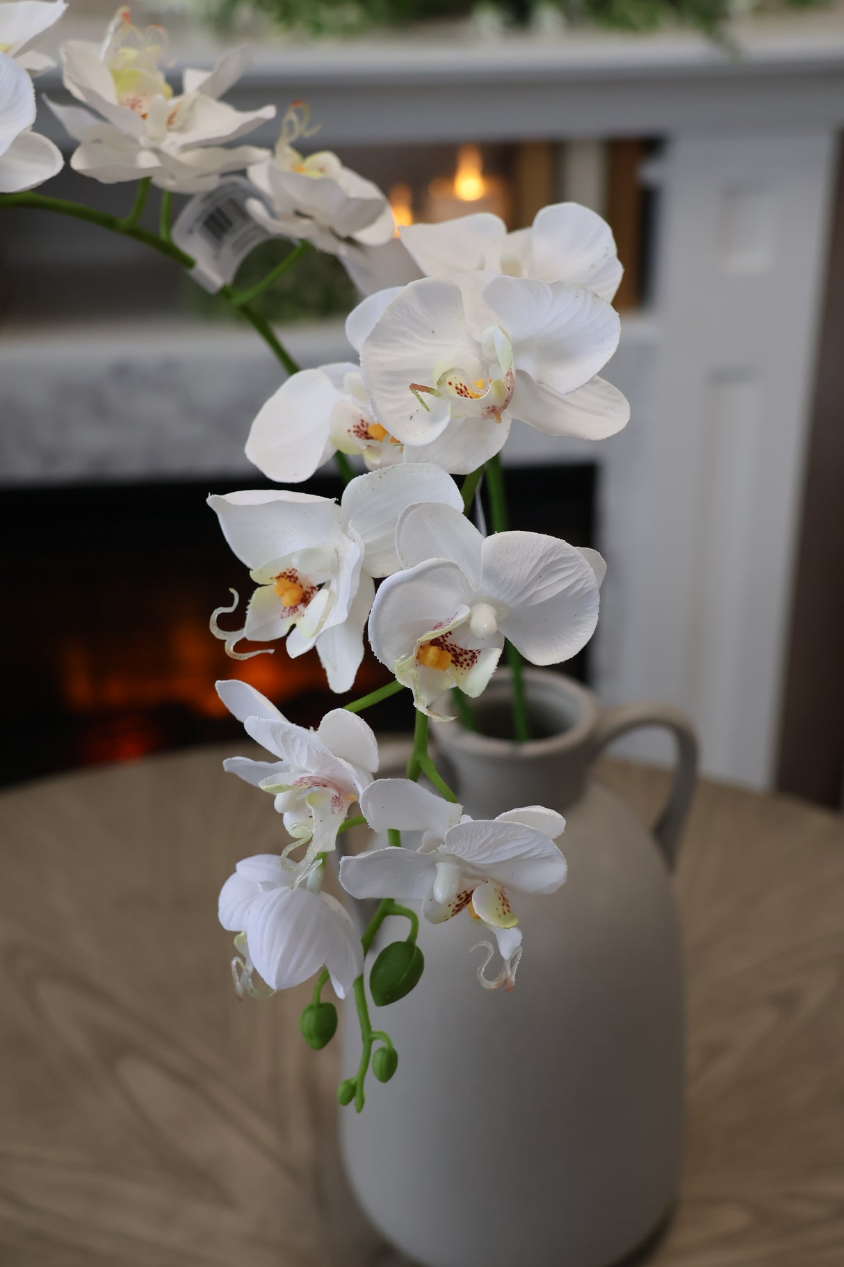 White Phalaenopsis Orchid Spray