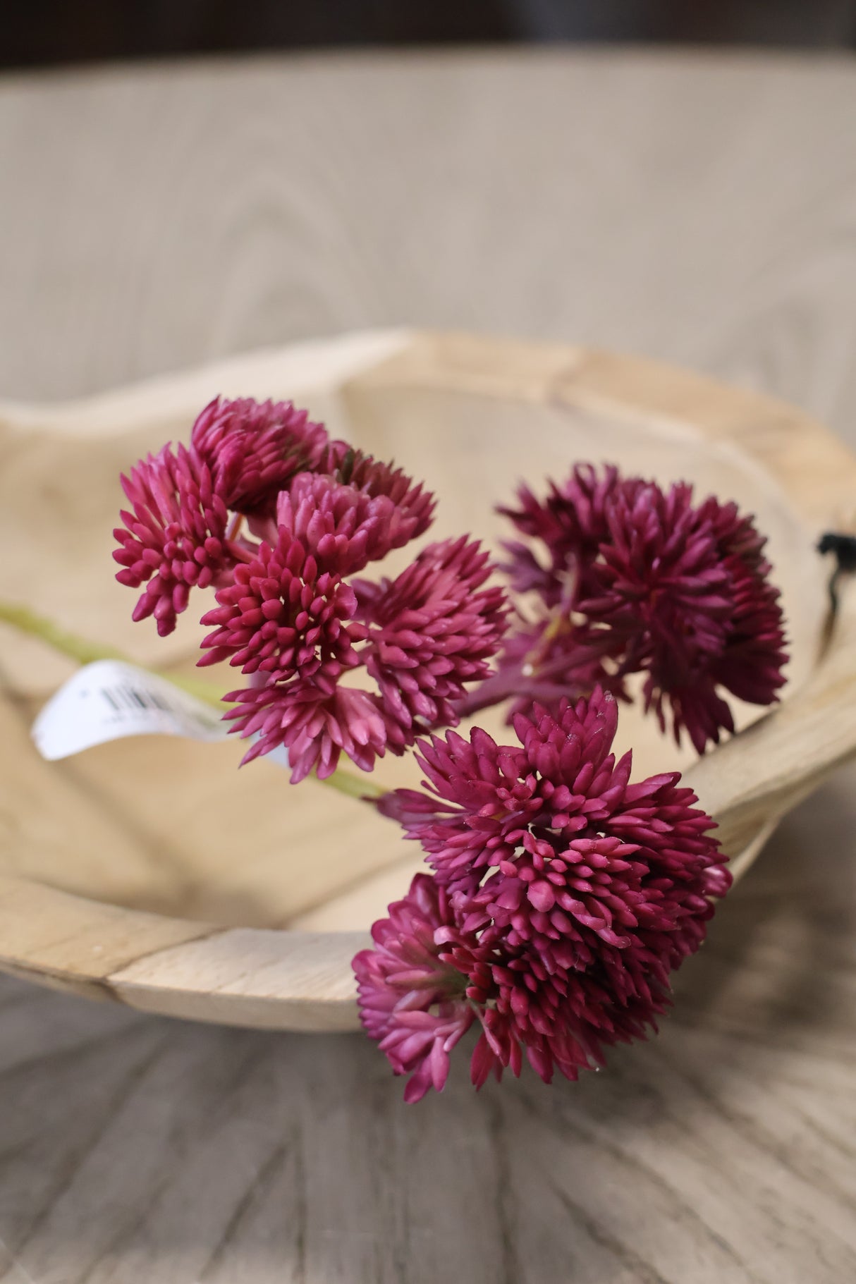 Burgundy Sedum Pick Bundle