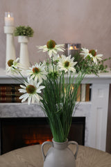 White Black-Eyed Susan Bush