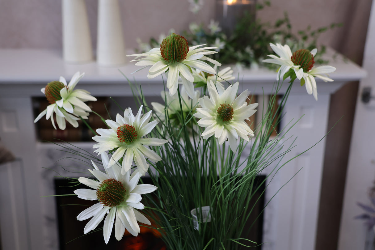 White Black-Eyed Susan Bush