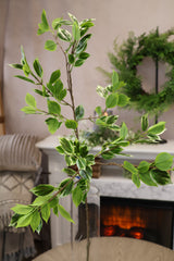 True Tone Ficus Leaf Branch