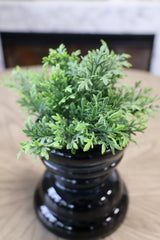 UV Protect Wormwood Bush