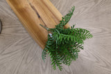 UV Protect Fern Bush Green